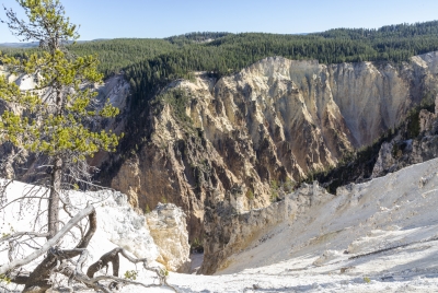Yellowstone Grand Canyon Sept 2024
